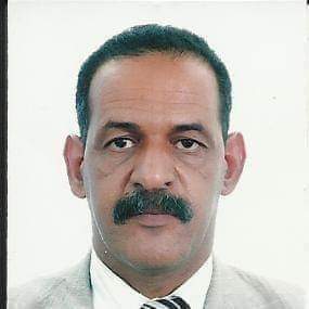 محمد ولد احمياده